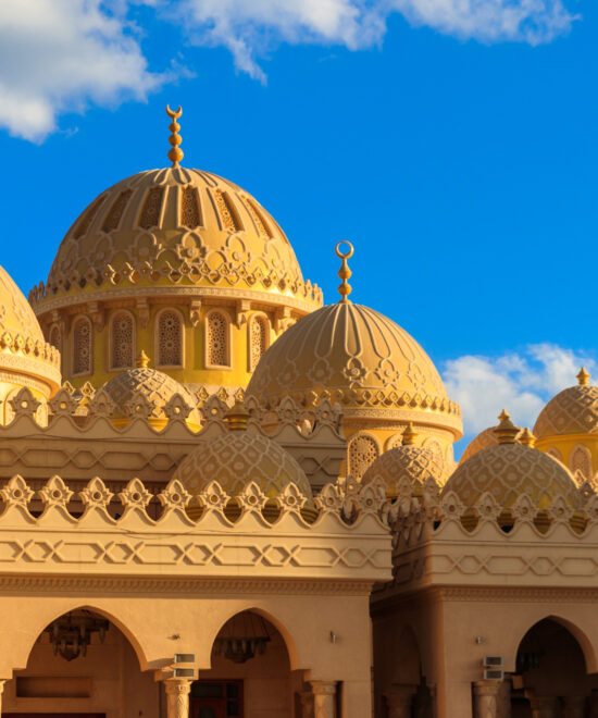 обзорка по городу с морепродуктами