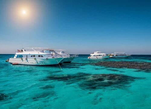 Дом дельфинов (риф Сатая) в Марса Аламе