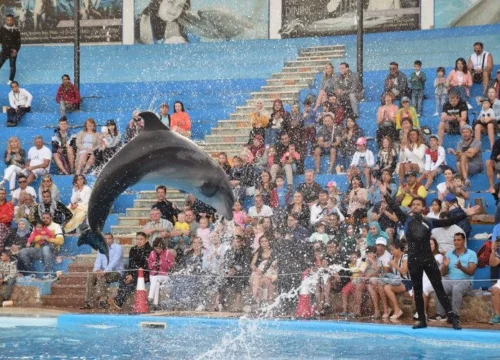 Дельфинарий в Хургаде